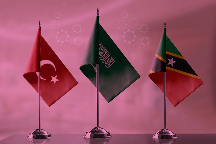 E - KSA Visa
